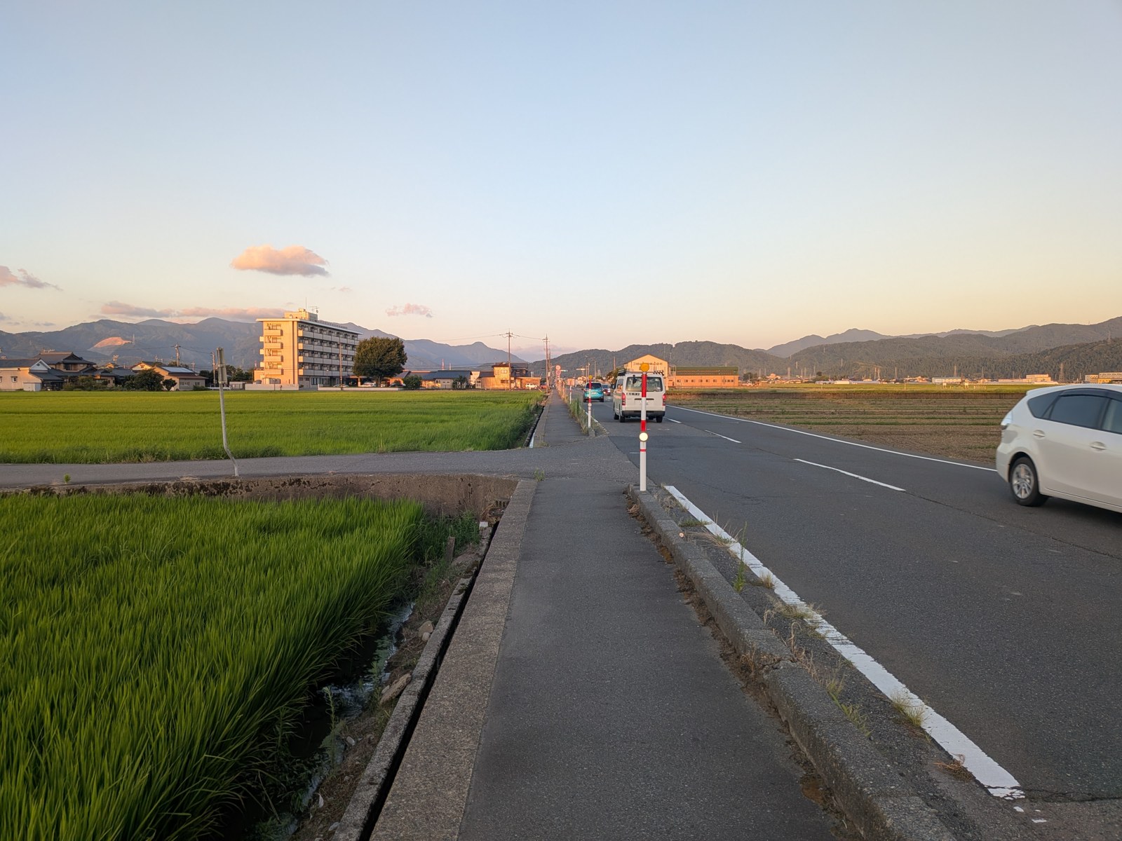 エルパ周辺の道の風景