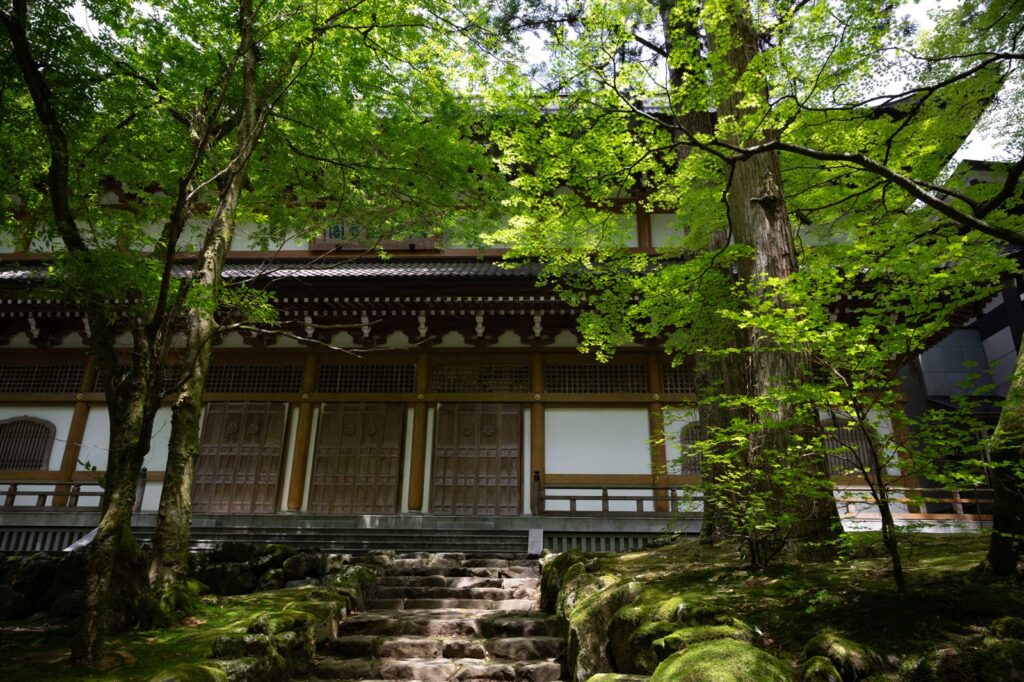 永平寺の歴史とは？道元禅師の開創から780年、禅の大本山の歩み