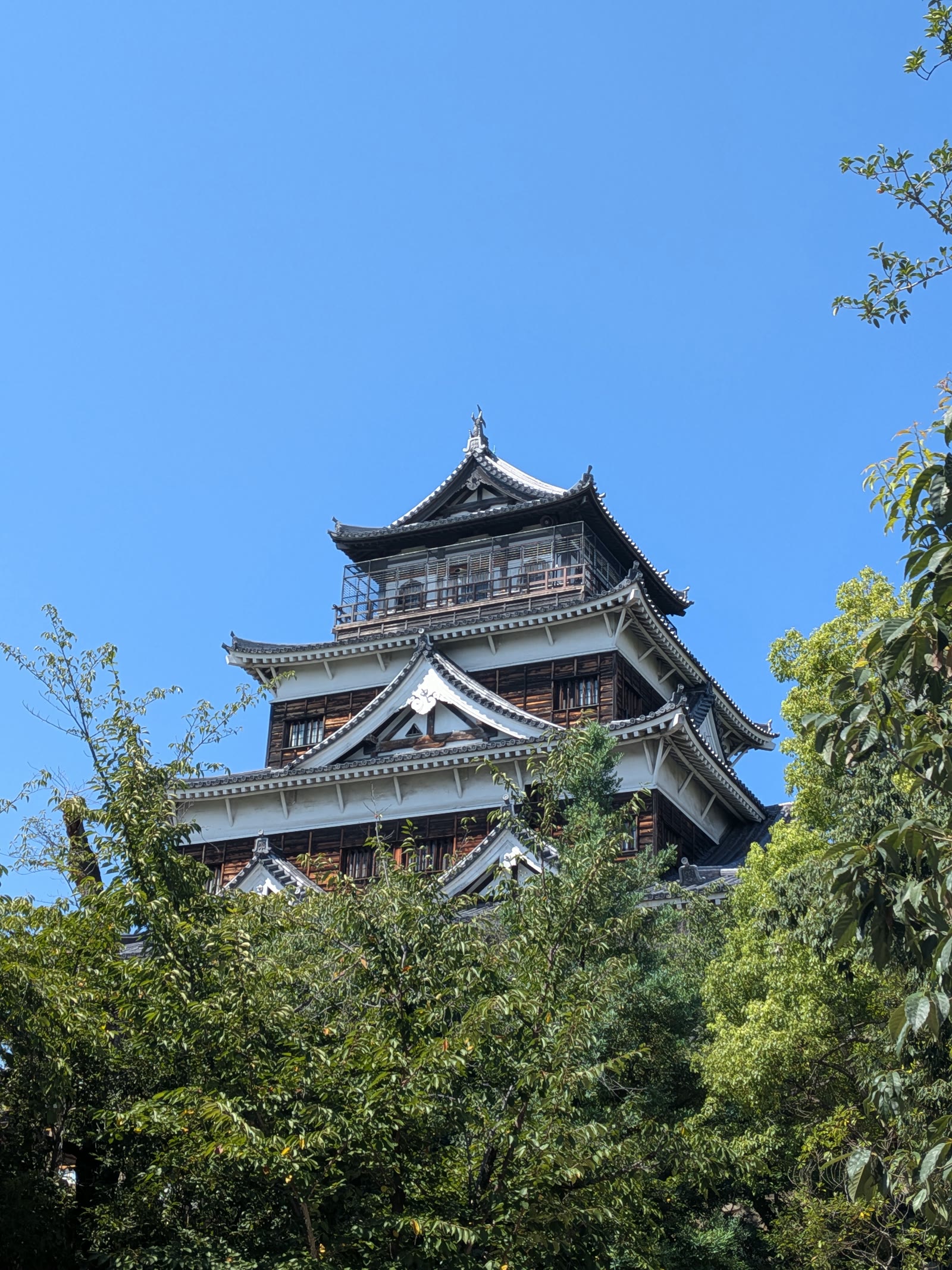 木々の間から見た広島城の天守