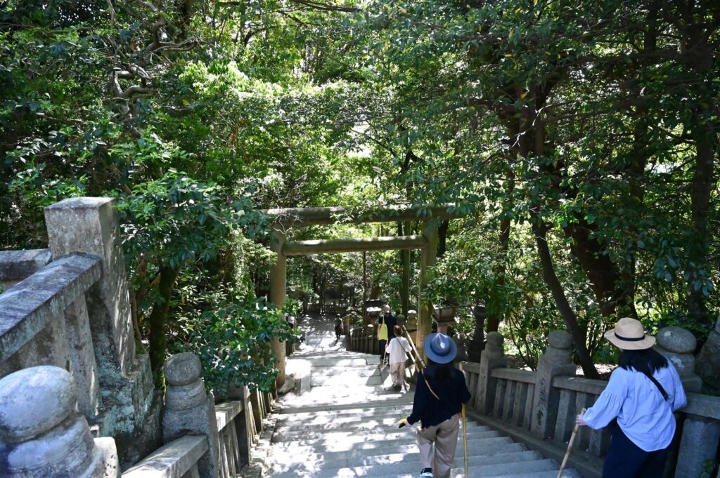 木々の間を鳥居に向かって続く石段