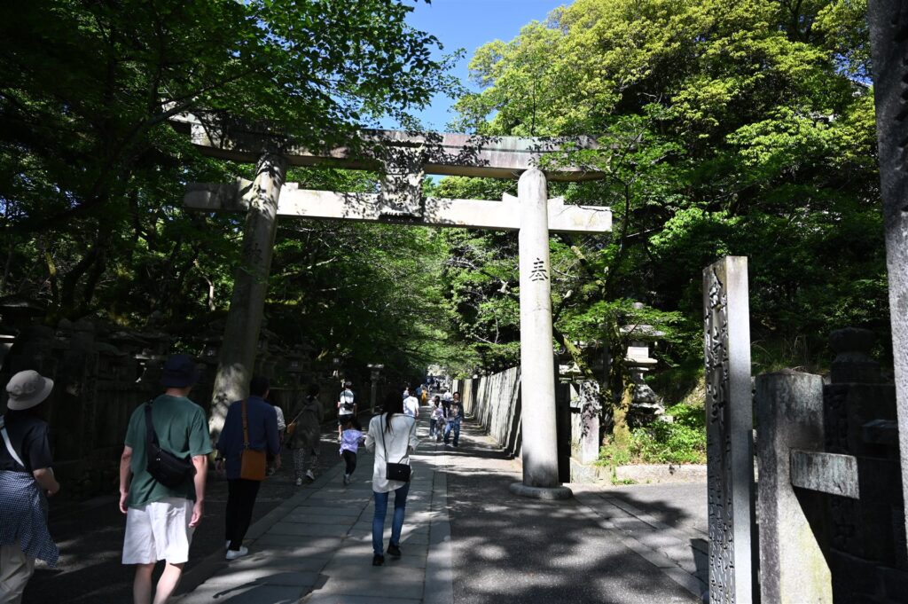 木々に囲まれた境内の参道と石の鳥居