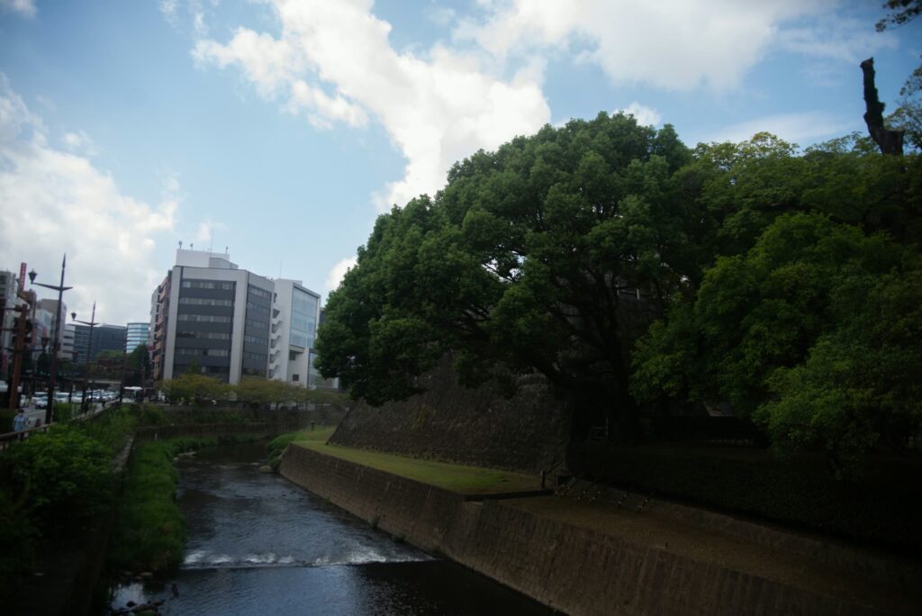 坪井川ごしに見る熊本城の石垣