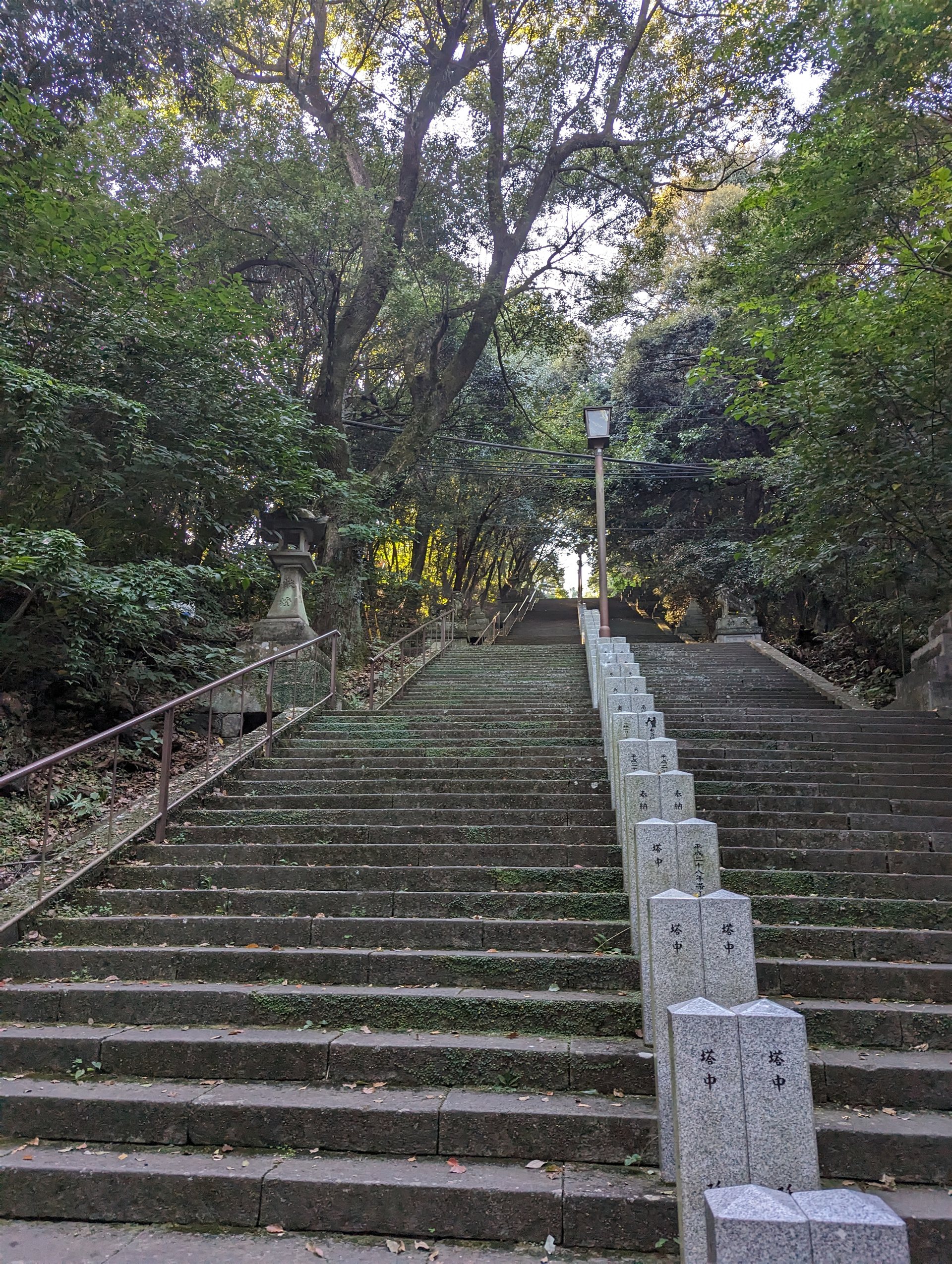 本妙寺の清正公銅像へ上る石段。玉垣の石に「塔中」「奉納」の文字が並ぶ