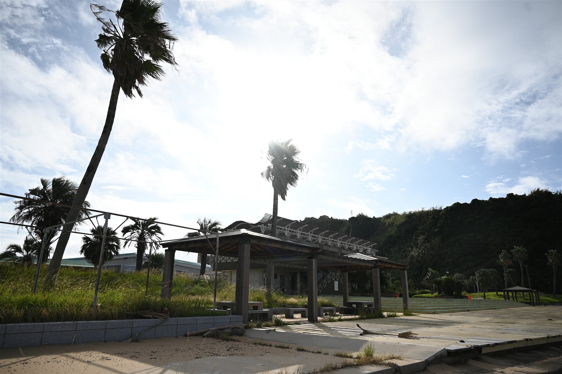 長崎・高島の海辺にあるヤシの木と東屋のある広場