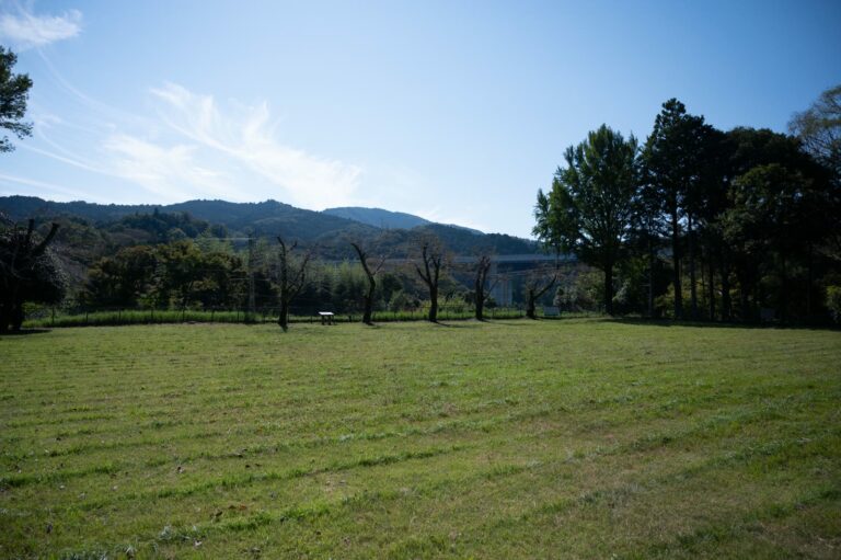 長篠城址の本丸跡の芝生と、奥に広がる山並み