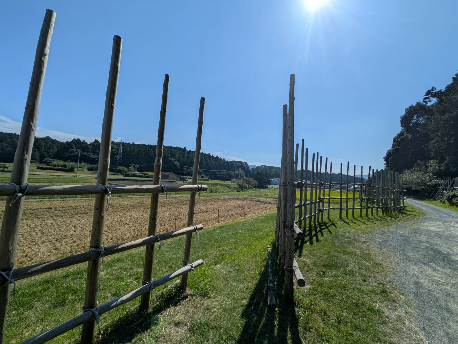 道沿いに続く設楽原の馬防柵