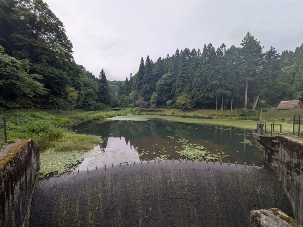 杉の林に囲まれた湯涌温泉の玉泉湖